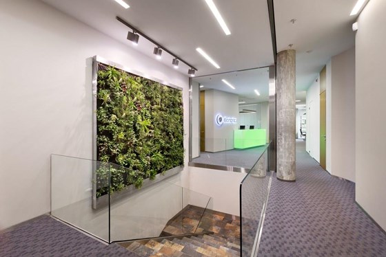 Работы : Офис Bionorica