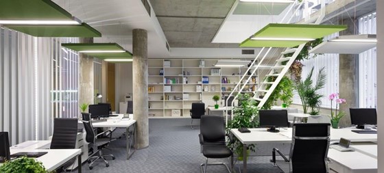 Работы : Офис Bionorica